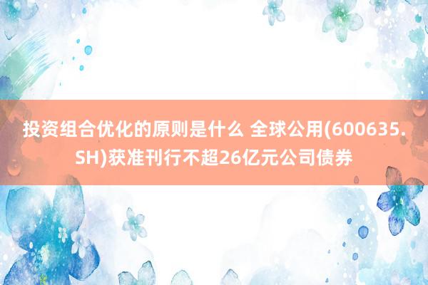 投资组合优化的原则是什么 全球公用(600635.SH)获准刊行不超26亿元公司债券