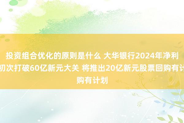 投资组合优化的原则是什么 大华银行2024年净利润初次打破60亿新元大关 将推出20亿新元股票回购有计划