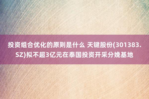 投资组合优化的原则是什么 天键股份(301383.SZ)拟不超3亿元在泰国投资开采分娩基地