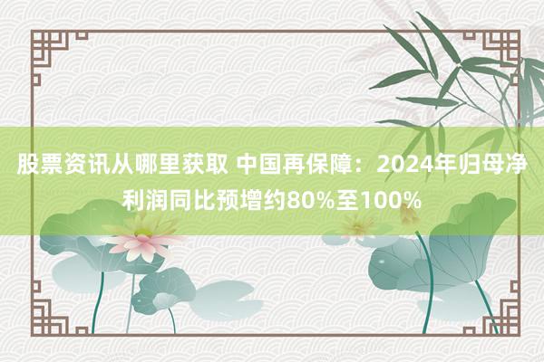 股票资讯从哪里获取 中国再保障：2024年归母净利润同比预增约80%至100%