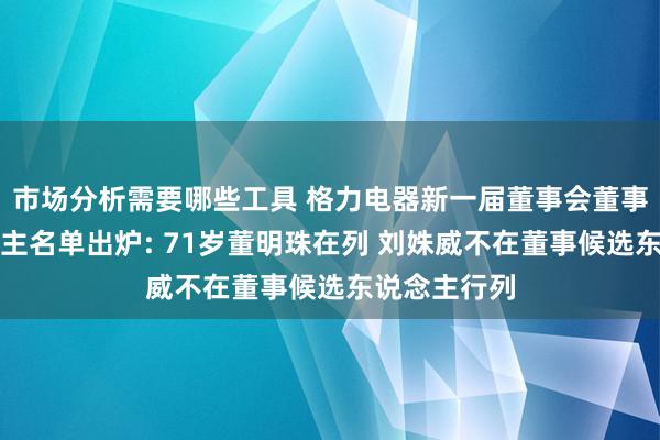 市场分析需要哪些工具 格力电器新一届董事会董事候选东说念主名单出炉: 71岁董明珠在列 刘姝威不在董事候选东说念主行列