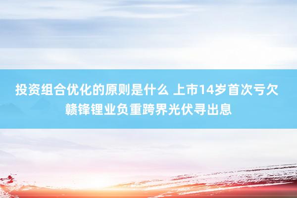 投资组合优化的原则是什么 上市14岁首次亏欠 赣锋锂业负重跨界光伏寻出息