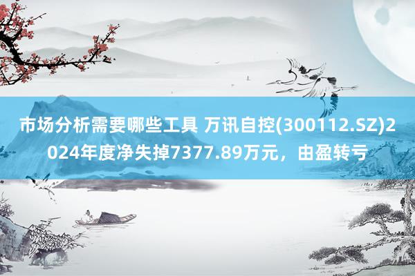 市场分析需要哪些工具 万讯自控(300112.SZ)2024年度净失掉7377.89万元，由盈转亏