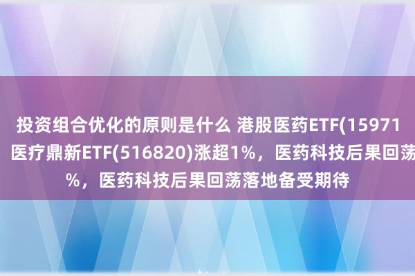 投资组合优化的原则是什么 港股医药ETF(159718)冲击3连涨，医疗鼎新ETF(516820)涨超1%，医药科技后果回荡落地备受期待