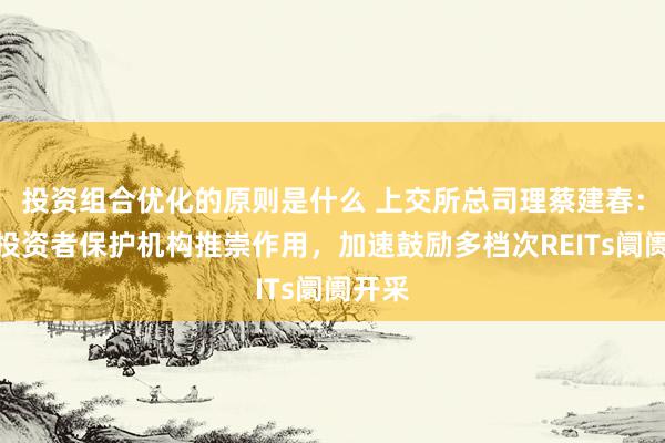 投资组合优化的原则是什么 上交所总司理蔡建春：强化投资者保护机构推崇作用，加速鼓励多档次REITs阛阓开采