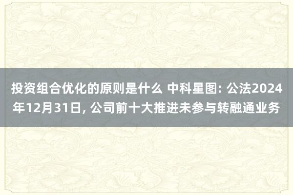 投资组合优化的原则是什么 中科星图: 公法2024年12月31日, 公司前十大推进未参与转融通业务