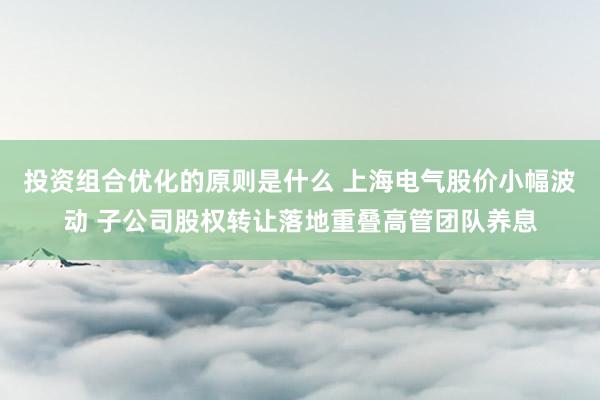 投资组合优化的原则是什么 上海电气股价小幅波动 子公司股权转让落地重叠高管团队养息