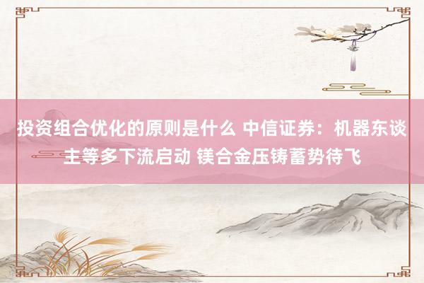 投资组合优化的原则是什么 中信证券：机器东谈主等多下流启动 镁合金压铸蓄势待飞