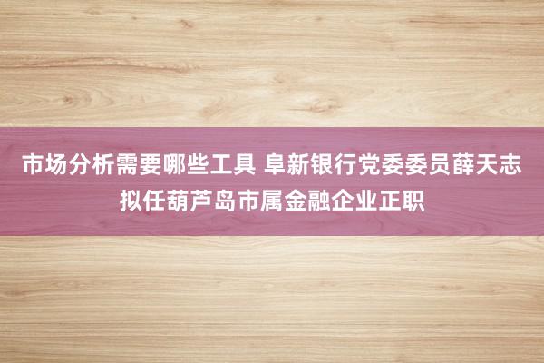 市场分析需要哪些工具 阜新银行党委委员薛天志拟任葫芦岛市属金融企业正职